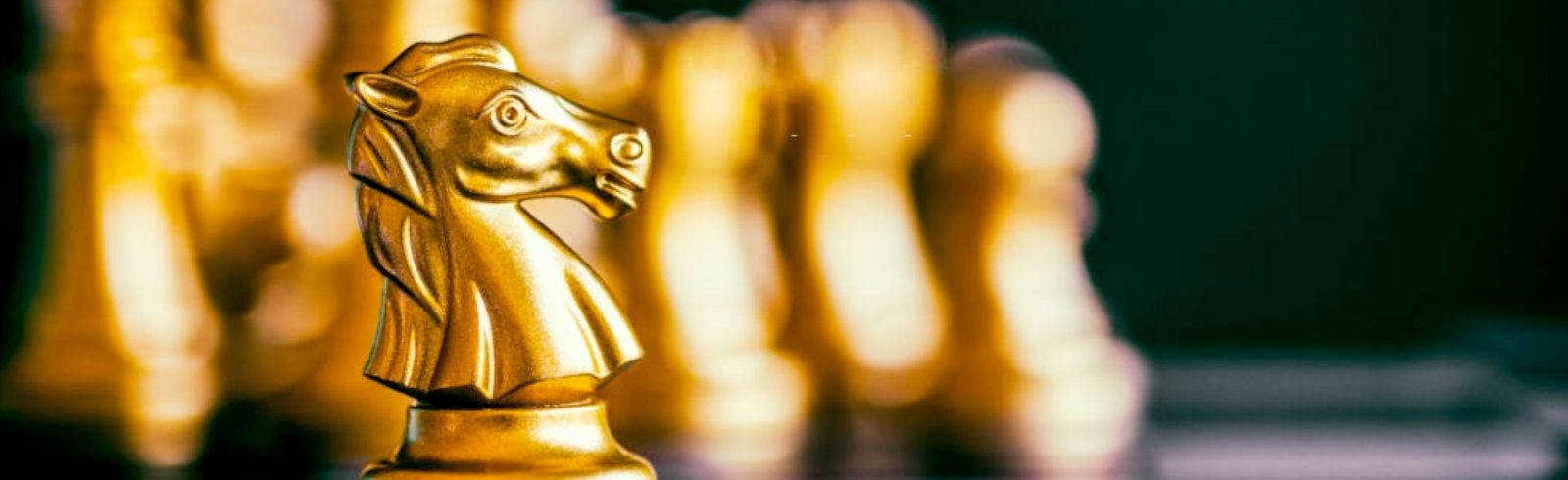 Fieldmarine Strategy